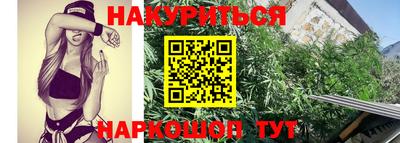 трава Донецк